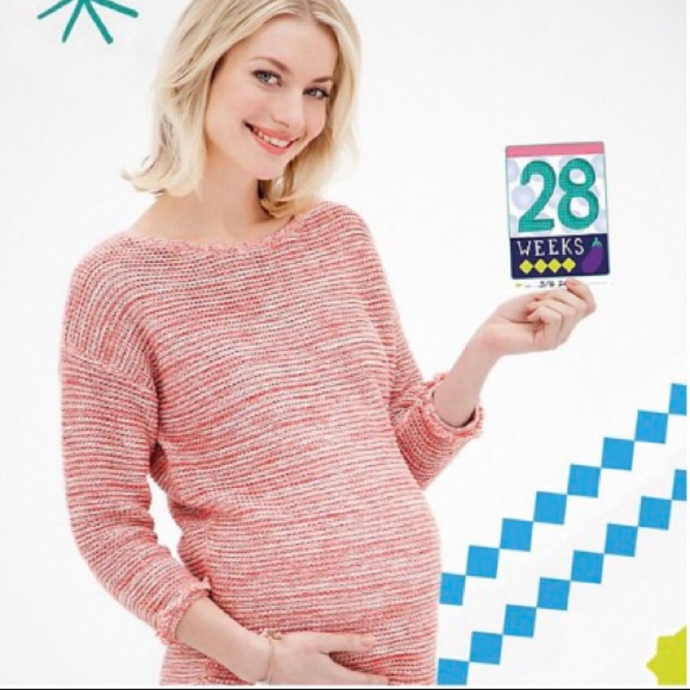 NWOT Milestone Pregnancy Cards